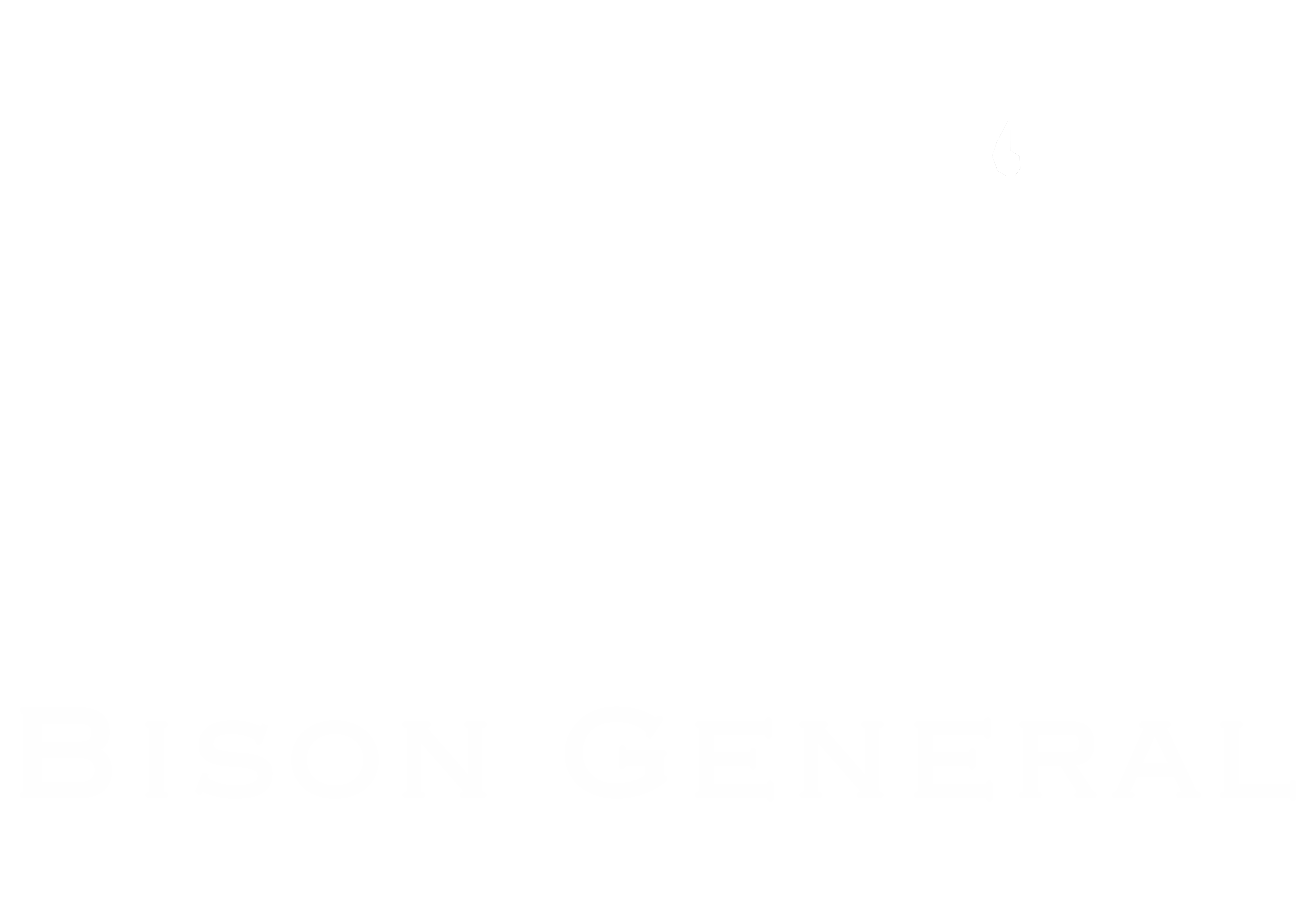 Bison General